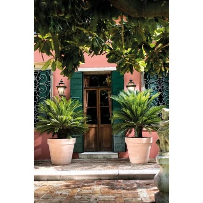 Deroma Pflanztopf Magno Ø 60 Cm White 4 Deroma Pflanztopf Magno Ø 60 Cm White – Bild 4